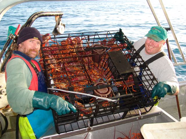 Lobster Pot Catch