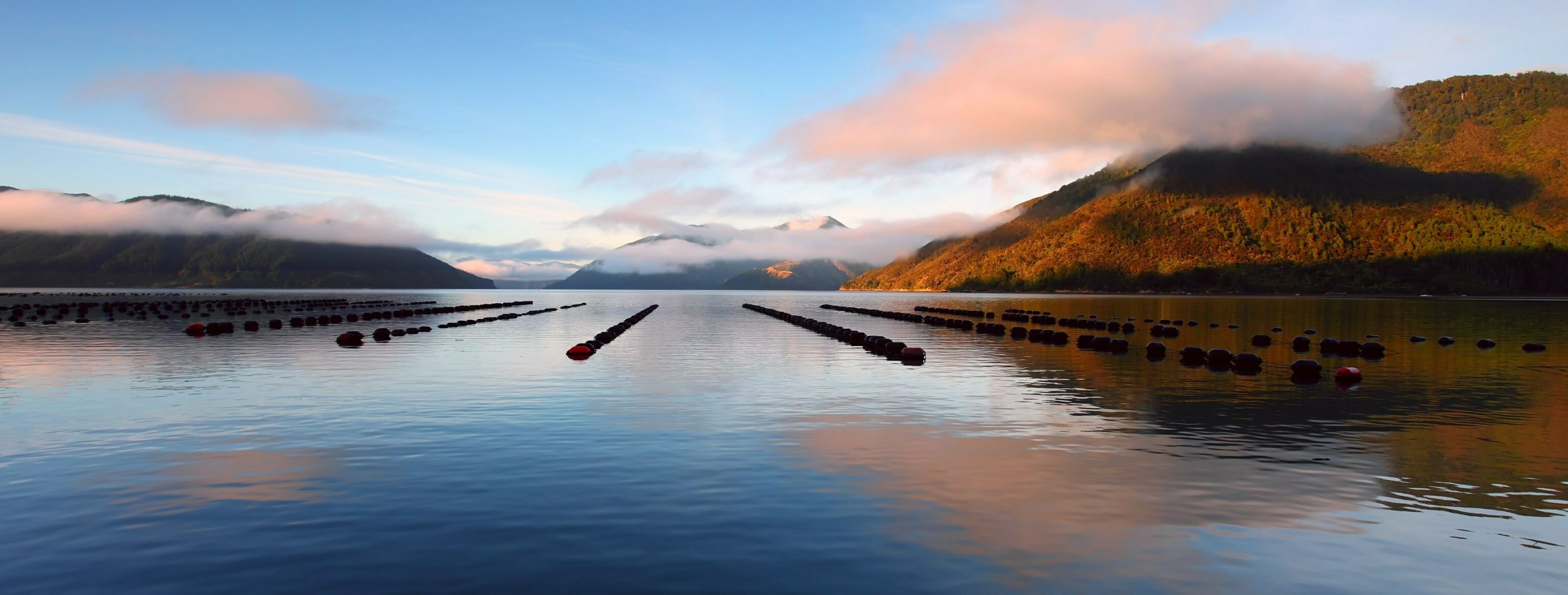 Marlborough Sounds