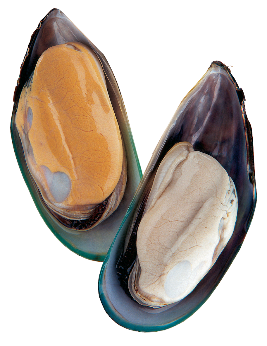 Greenshell mussels